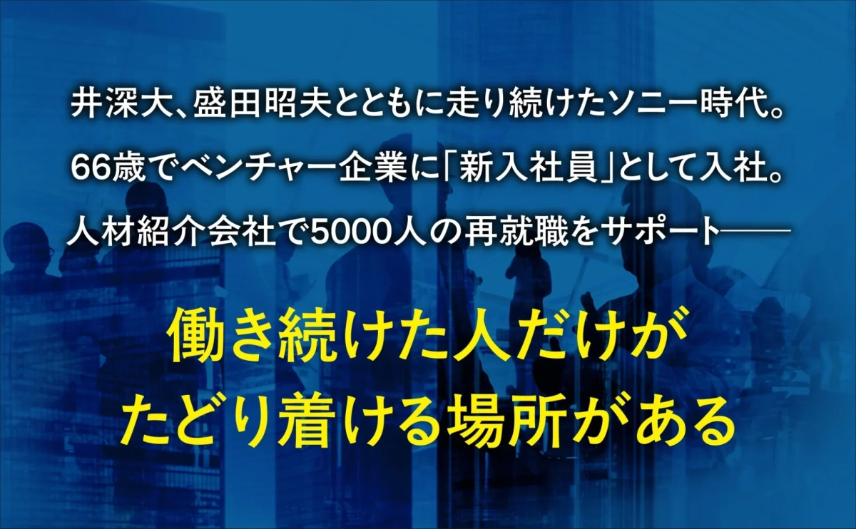 著者のキャリアに関する記述