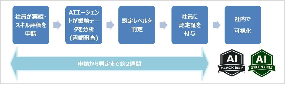 AI実践レベル判定概要