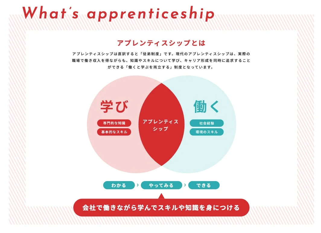 アプレンティスシップの概念図