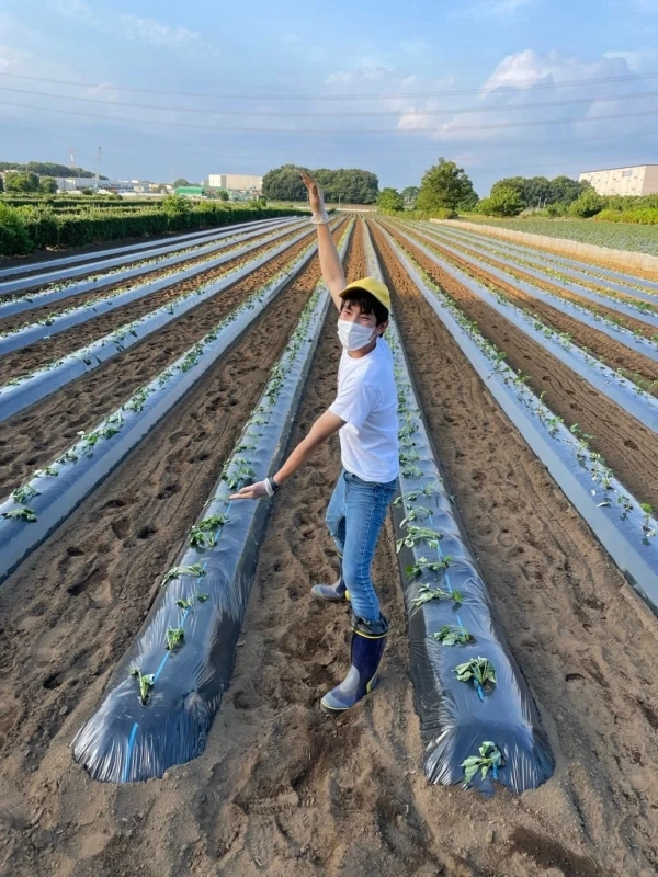 畑での農作業の様子