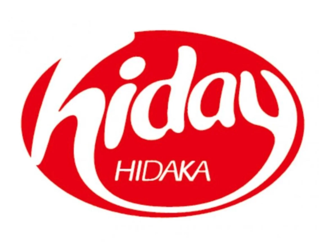 hiday HIDAKAロゴ