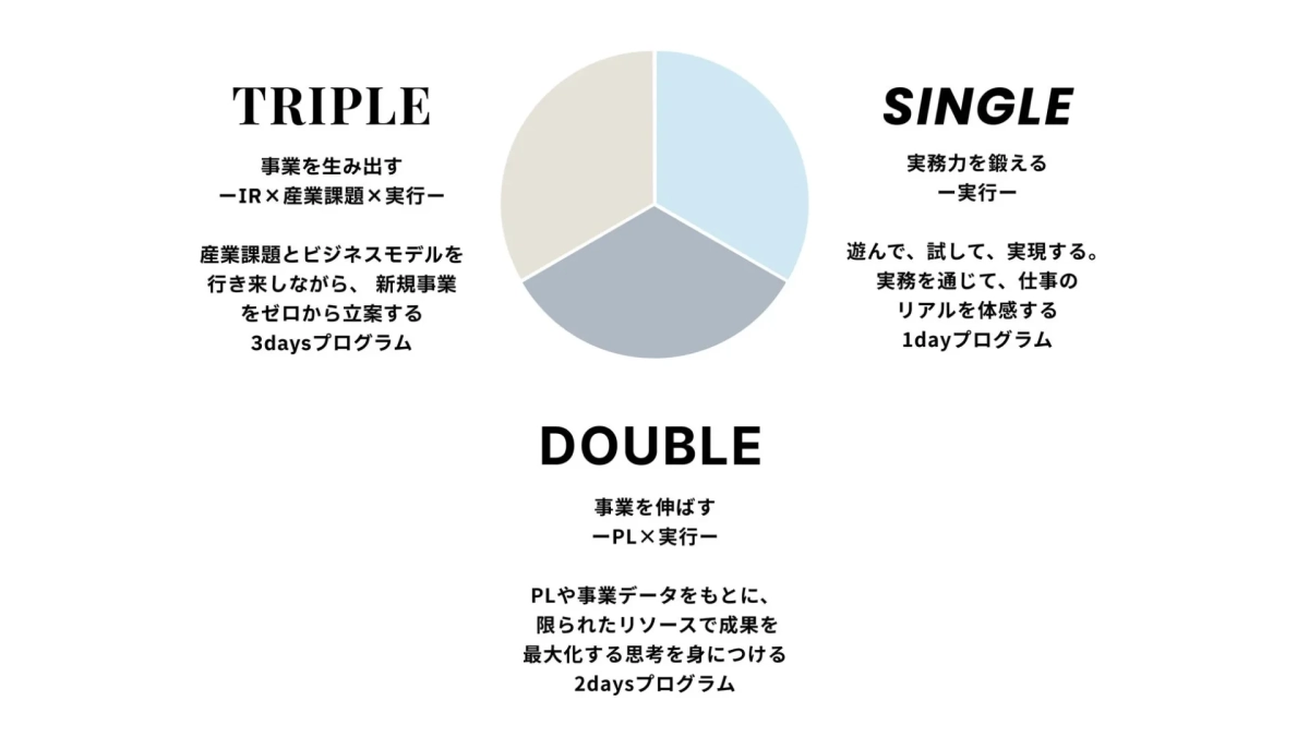 インターンシッププログラムの概要