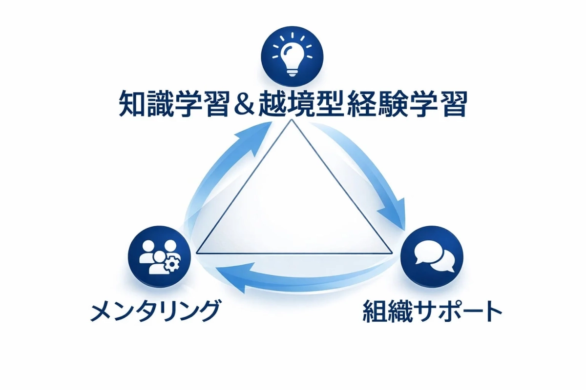知識学習と越境型経験学習、メンタリング、組織サポートの三要素が循環する学習・成長モデル