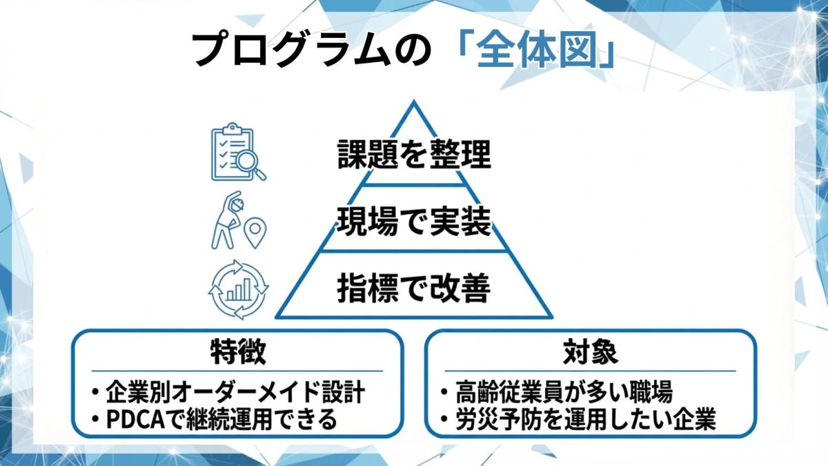 プログラムの全体図：課題整理、現場実装、指標改善