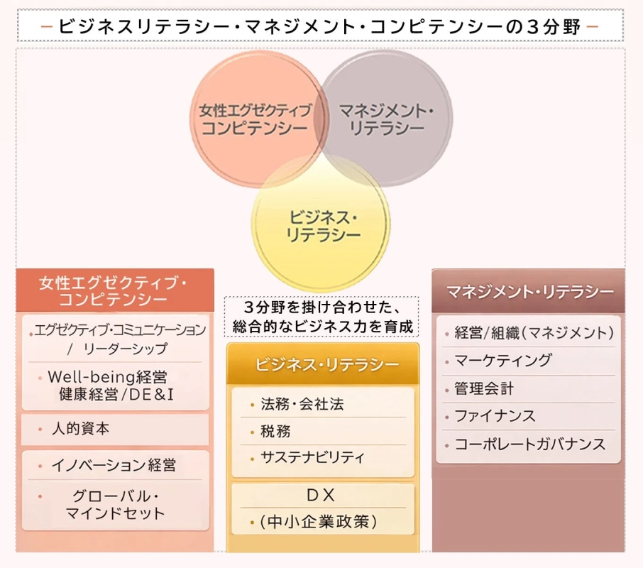 ビジネスリテラシー、マネジメント・リテラシー、女性エグゼクティブ・コンピテンシーの3分野