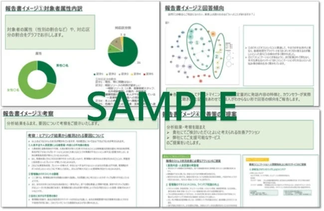 報告書イメージ