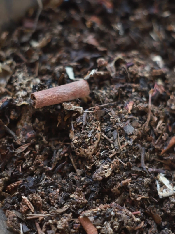 シナモンスティックと乾燥葉