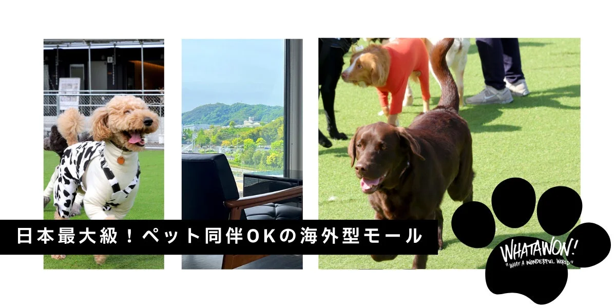WHATAWON施設の様子