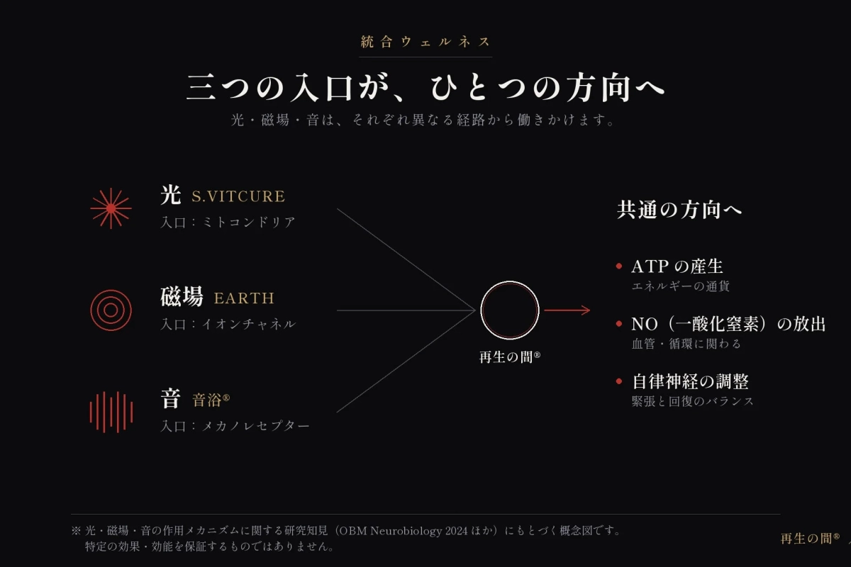 光・磁場・音の作用メカニズムに関する概念図