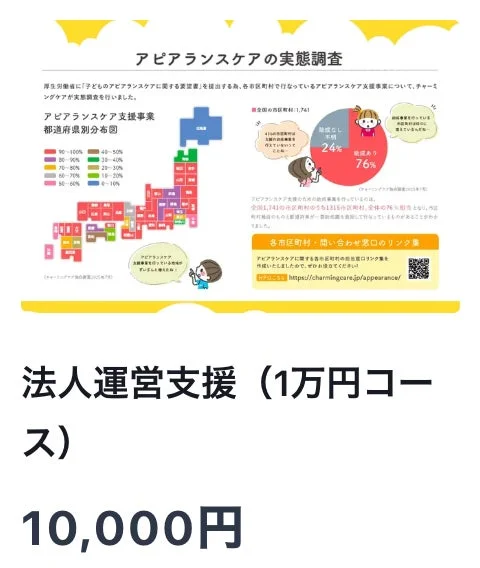 アピアランスケアの実態調査、法人運営支援 (1万円コース) 10,000円