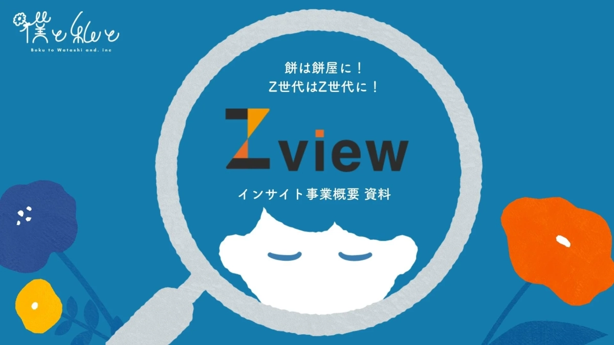 Zview lab.